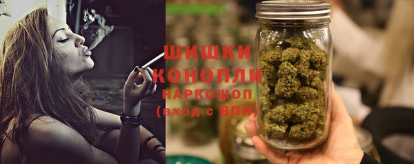 прущие грибы Красноперекопск