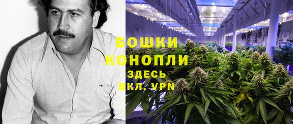 прущие грибы Красноперекопск