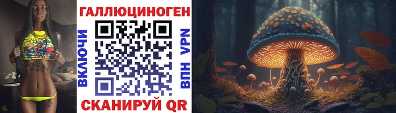 Галлюциногенные грибы Magic Shrooms  Малгобек 
